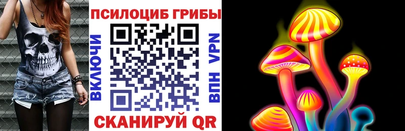 Купить  Вельск  Псилоцибиновые грибы Psilocybine cubensis 